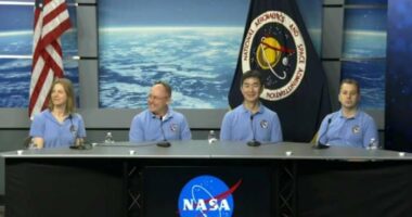 Meet the Crew-11 astronauts headed to the space station