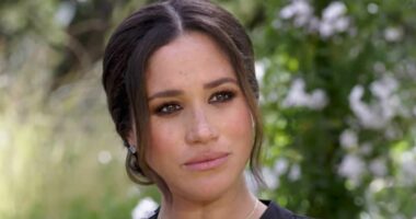 Meghan Markle left a 'trail of evidence' so she could 'hijack the narrative' following Megxit, royal author claims