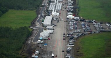 Miccosukee Tribe of Florida want to join lawsuit against 'Alligator Alcatraz'