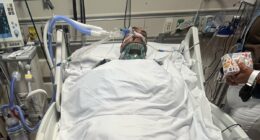 Migrant in critical condition after fall while trying to run from ICE