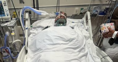 Migrant in critical condition after fall while trying to run from ICE