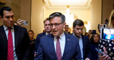 Mike Johnson: No Vote on Releasing Epstein Documents Before Recess