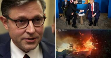 Mike Johnson steps up calls for fresh Russia sanctions to 'send Putin a message' after Trump ripped Russian's 'bulls---'