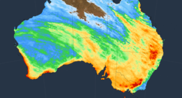 A seven-day precipitation graph for Australia, dated July 24, 2025.