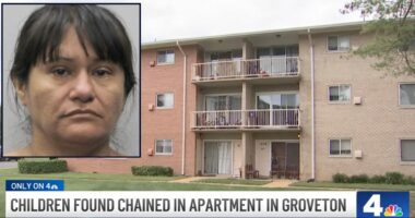 Mom chained up sons in home while she went to work