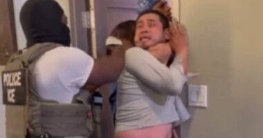 Moment migrant is dragged out of California medical clinic by ICE