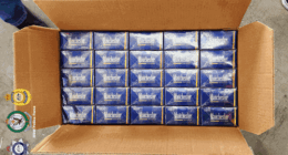 Inside a box of illicit cigarettes that were seized by Australian Border Force as part of Strike Force Aulic.