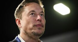 Musk's latest Grok chatbot searches for billionaire mogul's views before answering questions