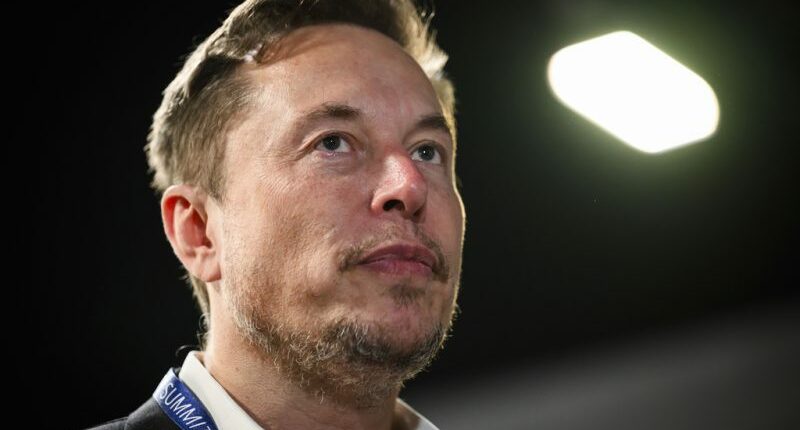 Musk's latest Grok chatbot searches for billionaire mogul's views before answering questions