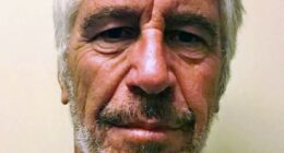 Photo of Jeffrey Epstein.