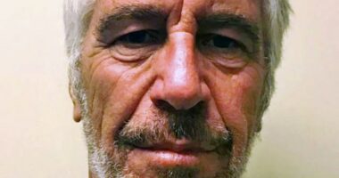 Photo of Jeffrey Epstein.