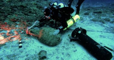 Diver exploring an underwater shipwreck site.
