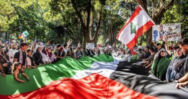 Demonstrators take to the streets of Sydney every Sunday.