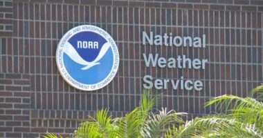 NWS faces vacancies in Florida offices as 2025 hurricane season ramps up