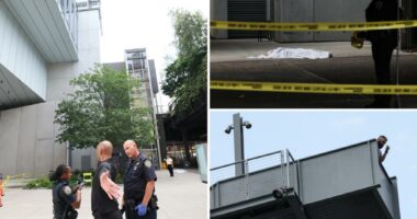 NYC museum visitor, 34, jumps to his death at the Whitney