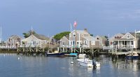 Nantucket property wars after man 'cuts down neighbor's trees'