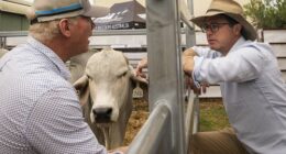 Nationals Leader David Littleproud claims Agriculture Minister Julie Collins ignored advice from the Inspector-General of Biosecurity when she lifted a ban on beef imports from the United States.