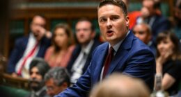 Wes Streeting speaking in the House of Commons.