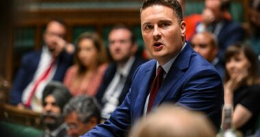 Wes Streeting speaking in the House of Commons.