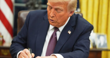 New Hampshire judge to pause Trump's birthright citizenship order