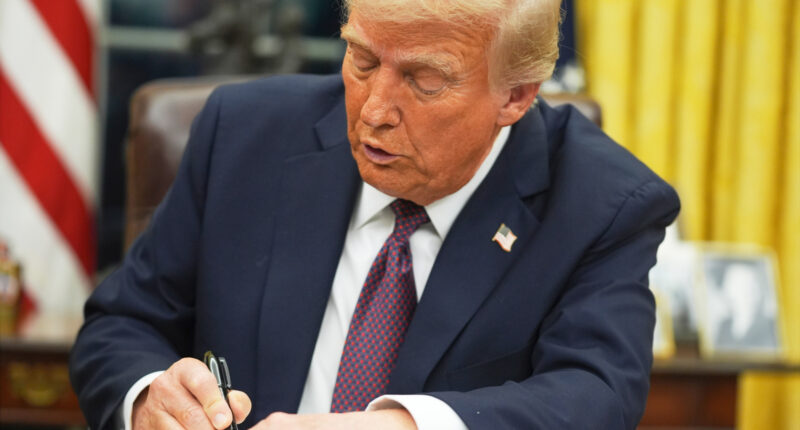 New Hampshire judge to pause Trump's birthright citizenship order