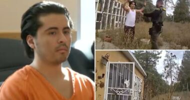 New Mexico brute Adlai Mestre allegedly shot parents, teen sister and family dog to death -- and dragged their corpses to ravine to 'bury them'