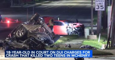 New details about Jason Land, charged in McHenry crash that killed Perla Tejeda and boy at Richmond and McCullom Lake, revealed