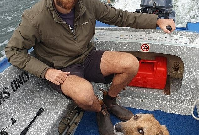 Surfer Steven Payne (pictured, with his dog Poppy) had been travelling Western Australia with his partner Catherine Birch when he was fatally attacked by a great white, an inquest has heard