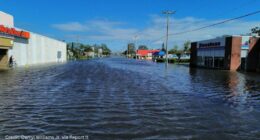 New reports details lessons from 2024 hurricane season in Hillsborough County
