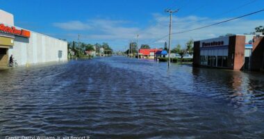 New reports details lessons from 2024 hurricane season in Hillsborough County