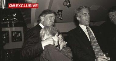 Donald Trump and his kids, Eric and Ivanka Trump, are seen with Jeffrey Epstein.