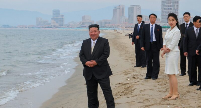 Kim Jong Un and his daughter on a beach with a city in the background.