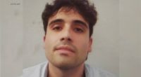 Ovidio Guzman Lopez, 1 of El Chapo's sons, intends to plead guilty in New York fed criminal case: I-Team documents