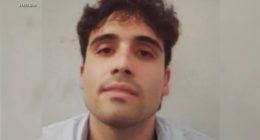 Ovidio Guzman Lopez, 1 of El Chapo's sons, intends to plead guilty in New York fed criminal case: I-Team documents
