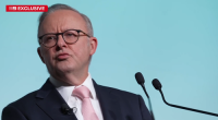 Anthony Albanese keynote speech in Washington tipped to 'ruffle feathers'