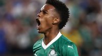 Palmeiras 1-2 Chelsea: Late own goal sees Blues reach Club World Cup semi-finals after Estevao stuns future team-mates with brilliant strike
