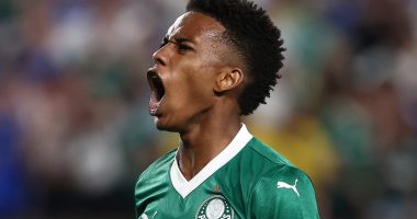 Palmeiras 1-2 Chelsea: Late own goal sees Blues reach Club World Cup semi-finals after Estevao stuns future team-mates with brilliant strike