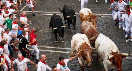 Pamplona holds opening bull run during San Fermín festival