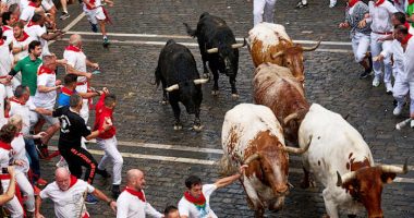 Pamplona holds opening bull run during San Fermín festival