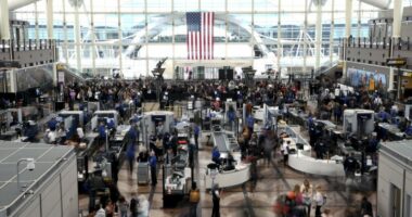 Passengers flee smoking jet on emergency slide after apparent landing gear problem at Denver airport