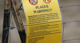 A sign warning of bubonic plague is displayed at a parking lot near the Rocky Mountain Arsenal Wildlife Refuge in Commerce City, Colorado, USA.