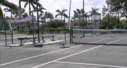 Pickleball v. Tennis: Residents in Apollo Beach fight over noise