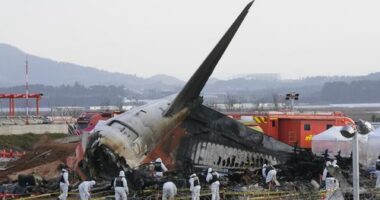 Rescue team members work at the site of a plane crash at Muan International Airport in Muan, South Korea on Dec. 31, 2024. 181 people were killed in the crash.