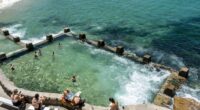 The plant found in oceans and pools could transform lives of thousands of burns victims.