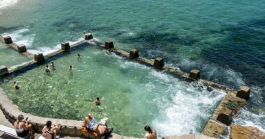 The plant found in oceans and pools could transform lives of thousands of burns victims.