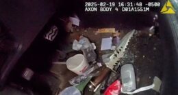 Police release mugshot of man in viral Jacksonville traffic stop arrest video