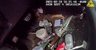 Police release mugshot of man in viral Jacksonville traffic stop arrest video