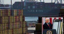 Port of Los Angeles sees record container traffic as Trump tariff deadlines loom