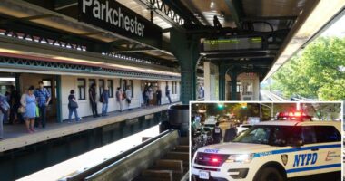 Postal worker allegedly sent threats to NYPD after issued summons