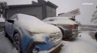Mt Hotham locals woke to more than 10cm of fresh snow this morning after temperatures plunged to almost minus four degrees.ï»¿